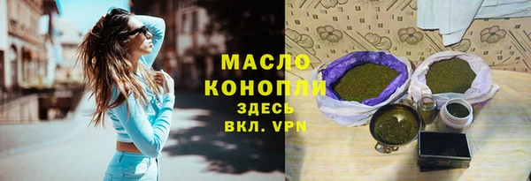 индика Осташков