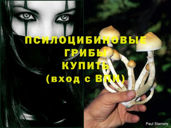 мескалин Баксан