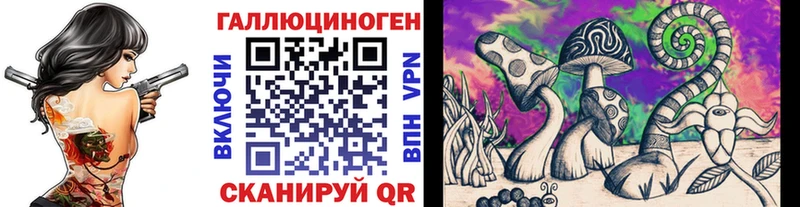 где можно купить Мамоново Галлюциногенные грибы мицелий